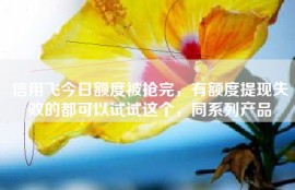 信用飞今日额度被抢完，有额度提现失败的都可以试试这个，同系列产品