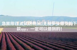 急需用钱,试试这些2022无视多头借贷的下款app，一定可以借到的！