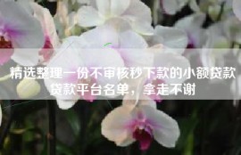 精选整理一份不审核秒下款的小额贷款贷款平台名单，拿走不谢