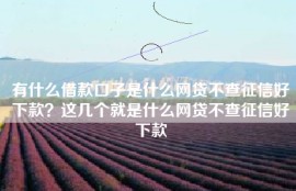 有什么借款口子是什么网贷不查征信好下款？这几个就是什么网贷不查征信好下款