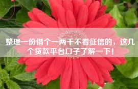整理一份借个一两千不看征信的，这几个贷款平台口子了解一下！