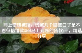 网上借钱被拒，试试几个哪些口子是不看征信借款5000马上到账的贷款app，精选分享