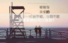 二押哪家银行可以贷款？