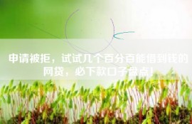 申请被拒，试试几个百分百能借到钱的网贷，必下款口子盘点！