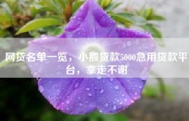 网贷名单一览，小额贷款5000急用贷款平台，拿走不谢