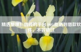 精选整理！借钱的平台100%能借到借款软件，不容错过