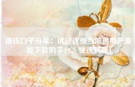 借钱口子分享：试试这些当前逾期严重能下款的平台，快速到账！