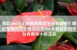 借款5000马上到账的贷款平台有哪些？精选整理的几个借钱应急5000不查征信的平台有哪些小额贷款