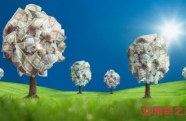 什么贷款不看征信秒下？这几个平台对征信要求较低