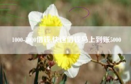 1000-5000借钱,快速借钱马上到账5000