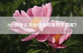 2022有什么平台安全可靠好下款呢？