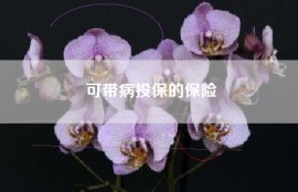 可带病投保的保险