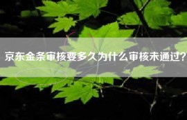 京东金条审核要多久为什么审核未通过？