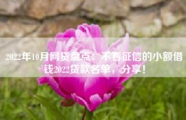 2022年10月网贷盘点：不看征信的小额借钱2022贷款名单，分享！