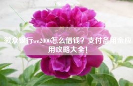 微众银行we2000怎么借钱？支付备用金应用攻略大全！