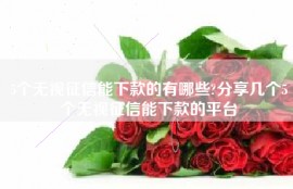 5个无视征信能下款的有哪些?分享几个5个无视征信能下款的平台