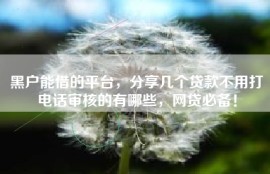 黑户能借的平台，分享几个贷款不用打电话审核的有哪些，网贷必备！