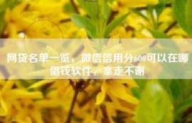 网贷名单一览，微信信用分600可以在哪借钱软件，拿走不谢
