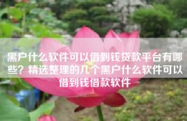 黑户什么软件可以借到钱贷款平台有哪些？精选整理的几个黑户什么软件可以借到钱借款软件