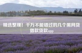 精选整理！千万不能错过的几个黑网贷借款贷款app