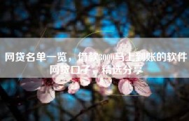 网贷名单一览，借款3000马上到账的软件网贷口子，精选分享