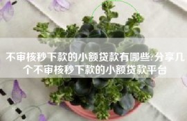 不审核秒下款的小额贷款有哪些?分享几个不审核秒下款的小额贷款平台