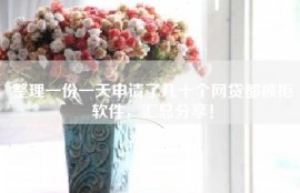 整理一份一天申请了几十个网贷都被拒软件，汇总分享！