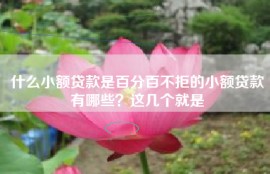 什么小额贷款是百分百不拒的小额贷款有哪些？这几个就是