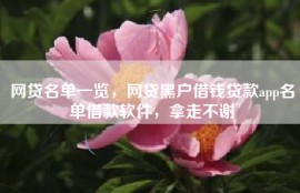 网贷名单一览，网贷黑户借钱贷款app名单借款软件，拿走不谢