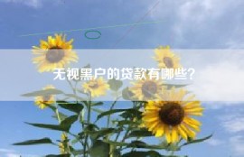 无视黑户的贷款有哪些？