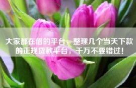 大家都在借的平台，整理几个当天下款的正规贷款平台，千万不要错过！