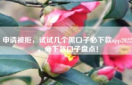 申请被拒，试试几个黑口子必下款app2022，必下款口子盘点！