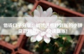 借钱口子分享：试试这些秒到账的小额贷款网贷app，快速到账！