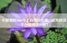 小额借款3000马上到账的名单，这些网贷平台值得试一试！