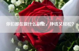 你们都在做什么副业，挣钱又轻松？