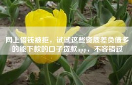 网上借钱被拒，试试这些资质差负债多的能下款的口子贷款app，不容错过