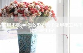 花呗不够3000怎么办？几个免审核立马下款3000的口子