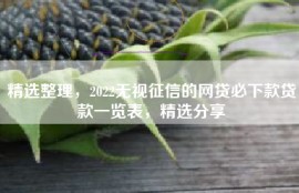 精选整理，2022无视征信的网贷必下款贷款一览表，精选分享