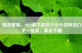 精选整理，2022必下款的千元小贷网贷口子一览表，拿走不谢