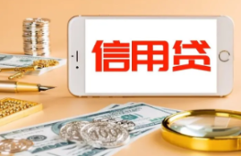 信用贷款被拒后如何应对？有何解决方法？