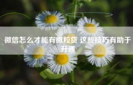 微信怎么才能有微粒贷 这些技巧有助于开通