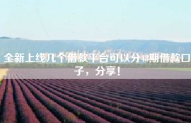 全新上线几个借款平台可以分48期借款口子，分享！