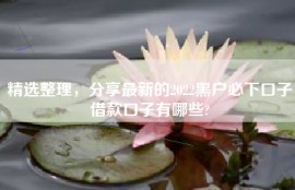 精选整理，分享最新的2022黑户必下口子借款口子有哪些?