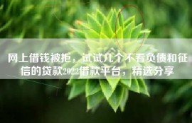 网上借钱被拒，试试几个不看负债和征信的贷款2022借款平台，精选分享
