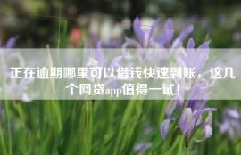 正在逾期哪里可以借钱快速到账，这几个网贷app值得一试！