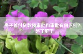 房子首付贷款预审批和审批有何区别？一起了解下