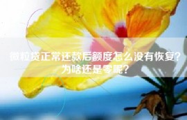 微粒贷正常还款后额度怎么没有恢复？为啥还是零呢？