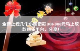 全新上线几个小额借款1000-3000元马上放款网贷平台，分享！