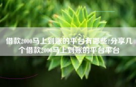 借款2000马上到账的平台有哪些?分享几个借款2000马上到账的平台平台
