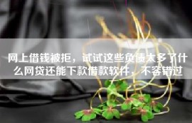 网上借钱被拒，试试这些负债太多了什么网贷还能下款借款软件，不容错过